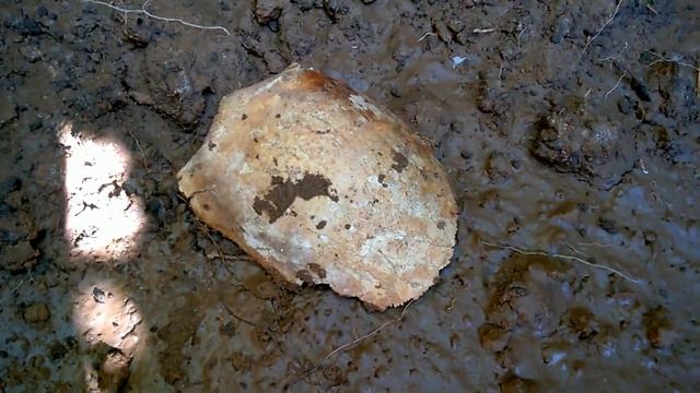 коп возле деревни. Обзор раскопок смотреть онлайн