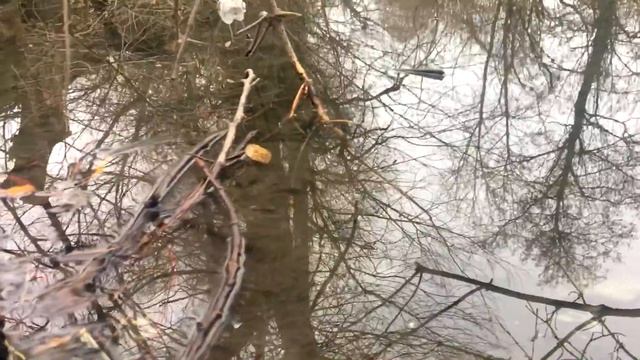 РАКОЛОВКИ В СВОЁМ ПРУДУ !!! ЭТО КАПЕЦ !!! смотреть онлайн