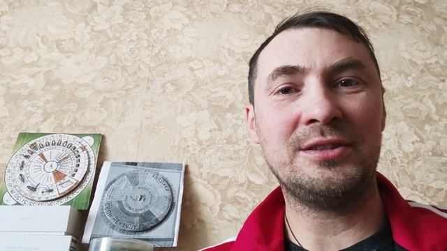 Пчеловодство. Beekeeping.Интересное о пчёлах. Гигантский пернатый враг напал на пчёл. смотреть онлайн