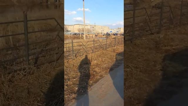 Рыбалка в Кокшетау смотреть онлайн