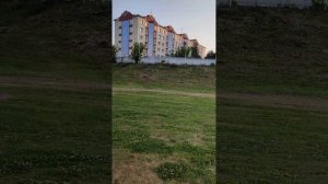 Пруд около стадиона Старт. Республика Мордовия г Саранск