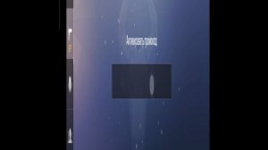 2 промокода в StandRise #приватка #стандофф