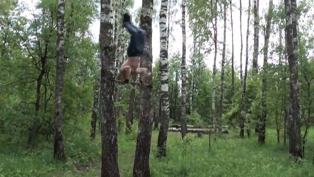 Небольшая тренировка. Брянск. смотреть онлайн