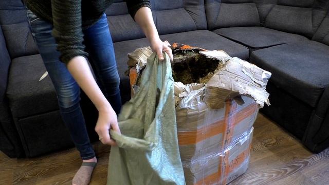 Посылка для улиток. 38 килограмм мха.