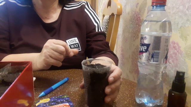 Посев лобелии.. смотреть онлайн