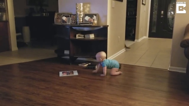 овчарка играет с малышом в салки смотреть онлайн