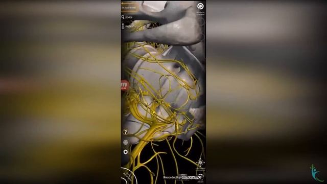 у вас СМЕЩЕН КРЕСТЕЦ! Признаки смещения крестца смотреть онлайн