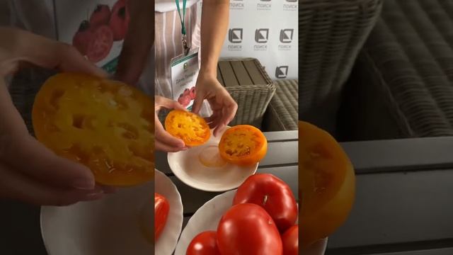 Сладкий богатый вкус томата Бизон Оранжевый?дегустация томата | Усадьба-Семена смотреть онлайн