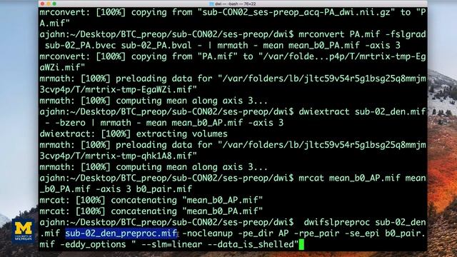 MRtrix Tutorial #4: Preprocessing смотреть онлайн