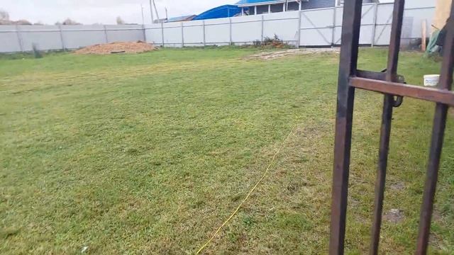 Переселение щенков Чезы смотреть онлайн