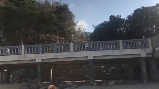 Балтика. Балтийское море. Светлогорск. Пляж смотреть онлайн