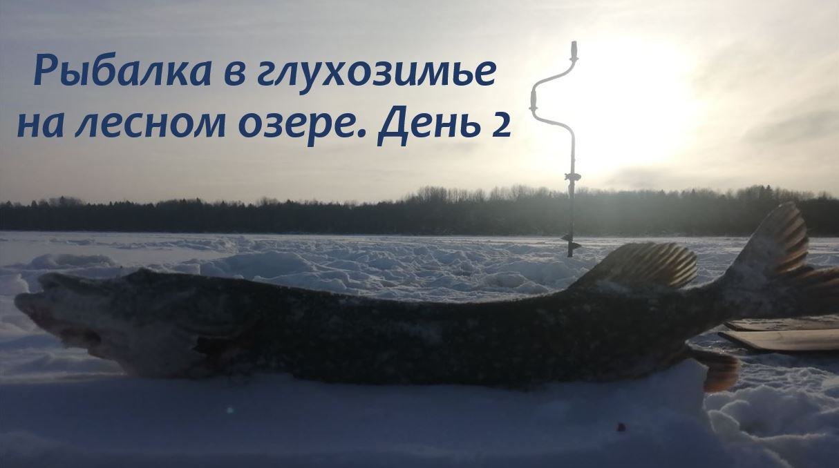 Трофейная щука!!! Рыбалка в глухозимье на жерлицы! День 2.