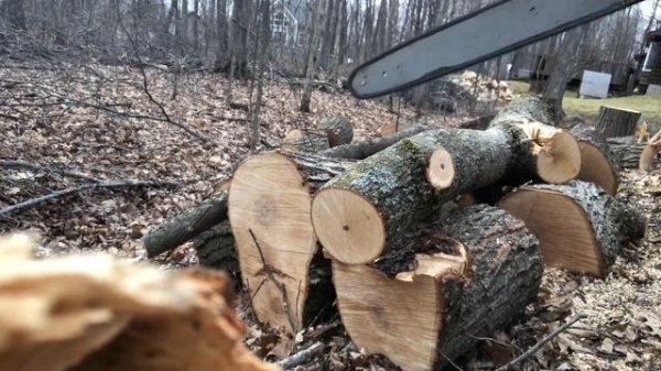 Poulan 2250 Woodmaster