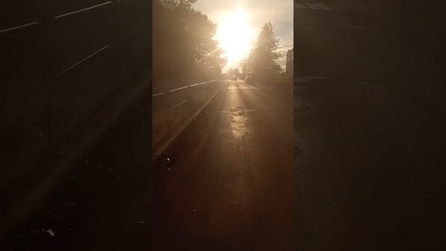 Поездка на Автобусе 429 Атолино-Минск АС 8966-7 МАЗ-203.016 (2-ая часть) смотреть онлайн