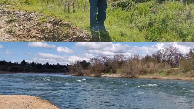 США Три парка за один день или непуганая природа Америки смотреть онлайн