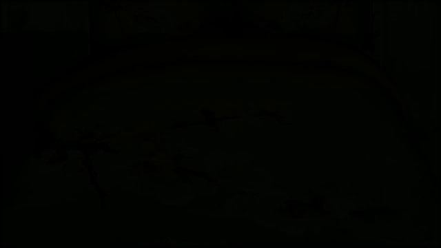 домашний трикотаж клевер