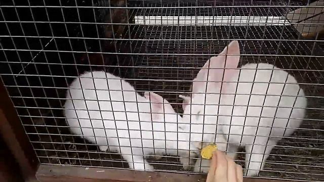 Парк ЛОГА 2018г, что изменилось смотреть онлайн