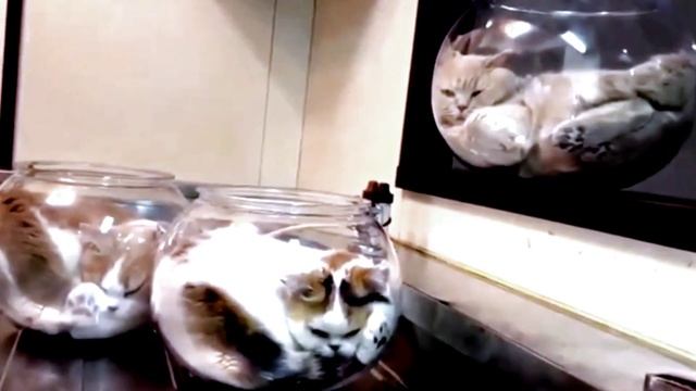 Тем кто ложится спать спокойного сна. смотреть онлайн