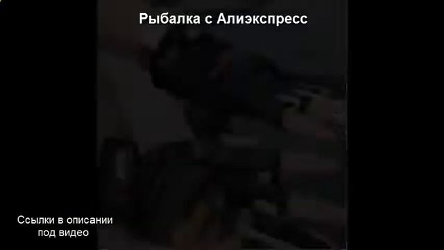 Рыбалка в белгороде и области смотреть онлайн