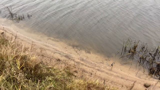 Сброс Воды на Москва реке, а где-же Клев? смотреть онлайн