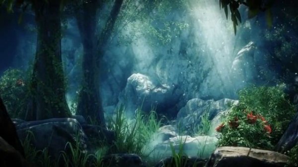 Magic forest fantasy wonderland video background for video Maker