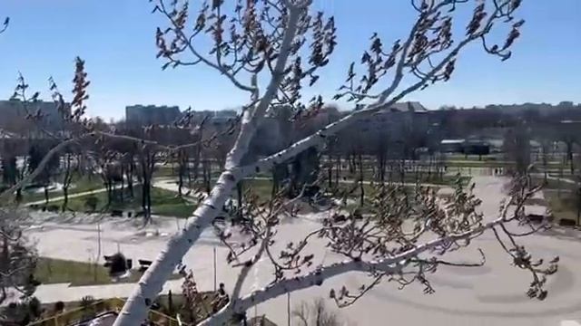 1.04.2023 Вид на Азов сталь с Белого тополя в парке Веселка смотреть онлайн