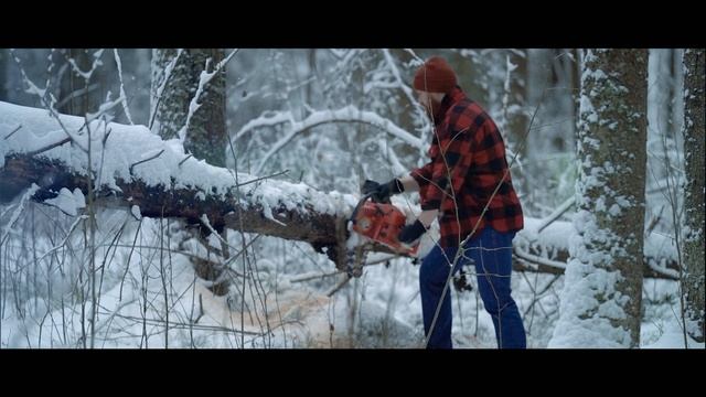 HAMER FORESTER 3000 смотреть онлайн