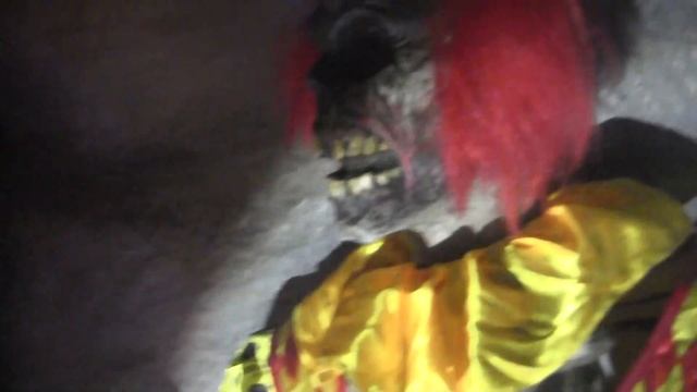 Quick Tour of Nay's Haunted Hallway for Daboweed! смотреть онлайн