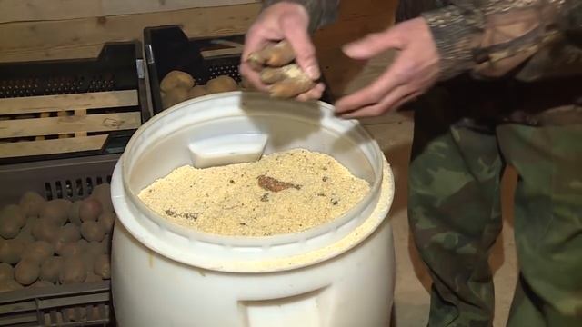 Хранение овощей смотреть онлайн