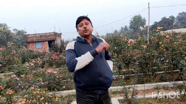 #Stripe Rose Manas#Dr.Noshir Wadia# Eco Talk,Stripe Talk, The Painter