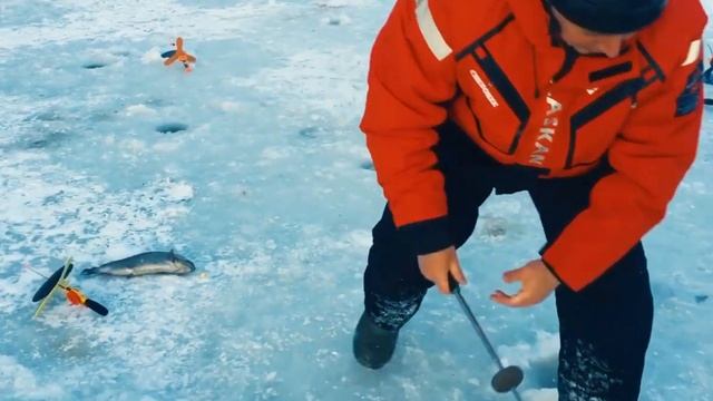 Рыболовный клуб ФИШКА ЛИПКИ! Активно ловим форель со льда! Репортаж с водоёма 30/11/2022! смотреть онлайн