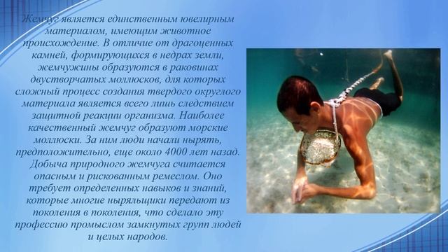 Виртуальный справочник «Профессии редкие и интересные» смотреть онлайн