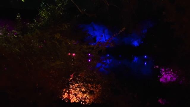Enchanted Forest of Light, Descanso Gardens - 2021 смотреть онлайн