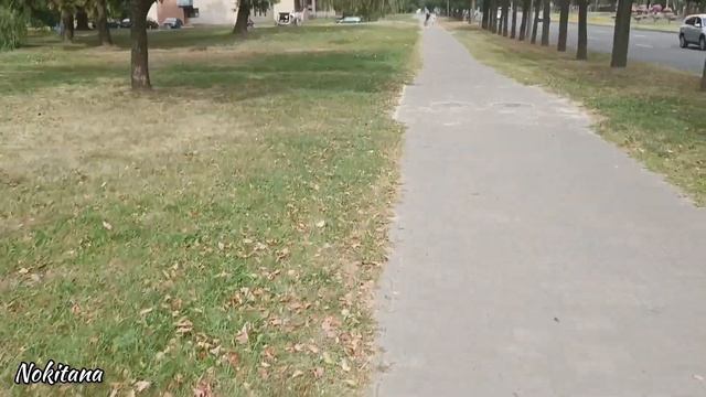 Новые наборы и перенаборы // Мои помощники на кухне // Август 2022г смотреть онлайн