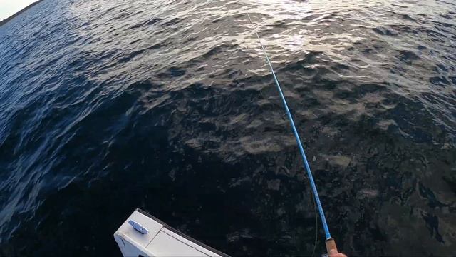 Awesome Fall Jig Fishing - No Bait or Gulp Required! смотреть онлайн