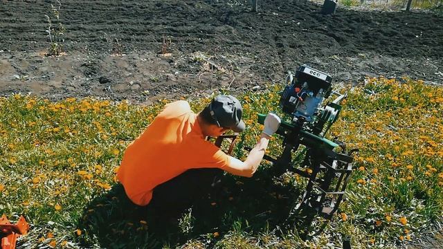 Мотоблок ECO МБ5-702 в работе | посадка картошки мотоблоком под плуг смотреть онлайн