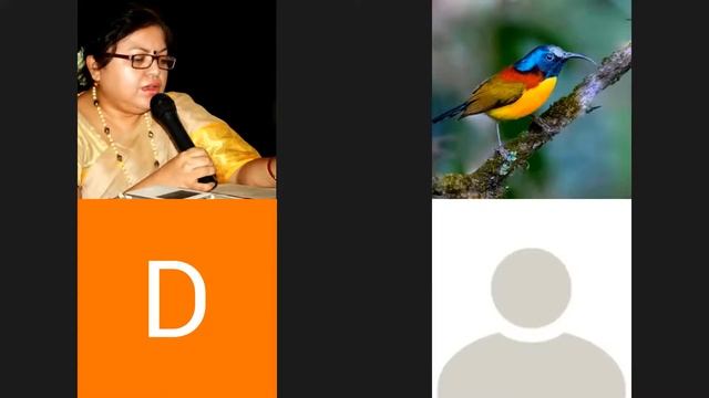 Learning Python Basics Part IV смотреть онлайн