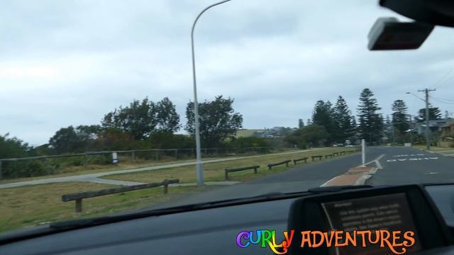 What a surprise! | Part 1 | NSW South Coast Road Trip | Австралия, Новый Южный Уэльс, Джерингонг смотреть онлайн
