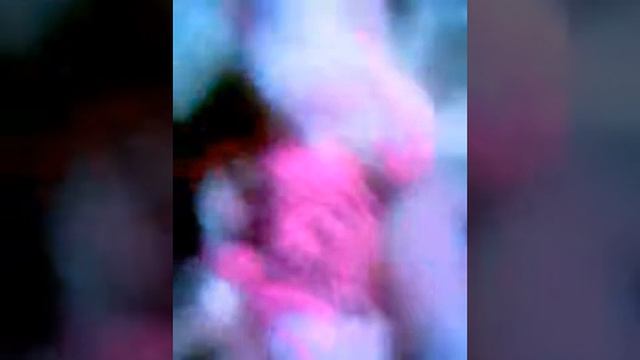 Копия видео Обзор дракулауры из коллекции скариж (подделка) смотреть онлайн