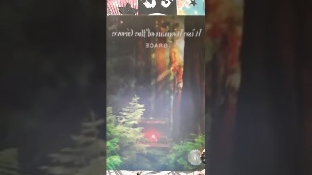 the sacred forest oracle message for the collective universe ✨️ Monday Sept 19th 2022 смотреть онлайн
