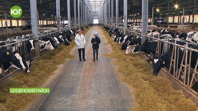 В КФХ Натальи Зубаревой нужны молодые специалисты смотреть онлайн