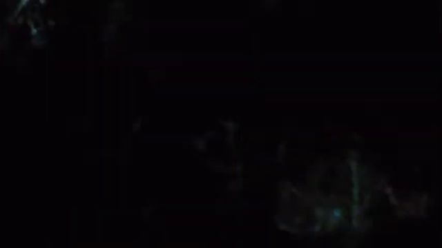 Сказочный лес 2 смотреть онлайн