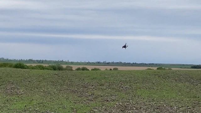 Испытательный полет автожира Божья Коровка смотреть онлайн