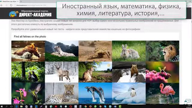 Новые интерактивные элементы по любым предметам смотреть онлайн