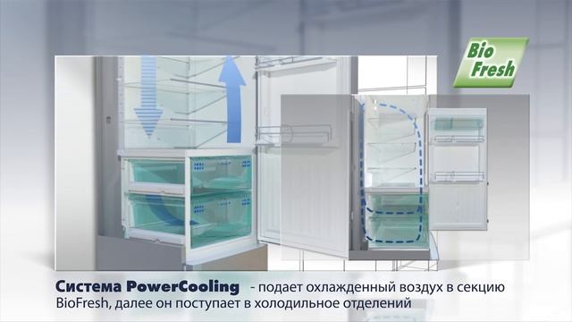 Обзор холодильника Liebherr CBNes 6256 смотреть онлайн