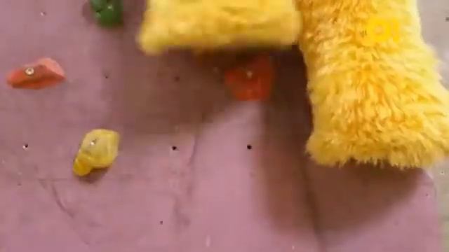 Телеканал О! Входящий в Цифровое Телесемейство Первого Канала Представляет