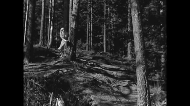 Алеся - ВИА Сябры. "Колдунья" 1956 (La Sorcière) смотреть онлайн
