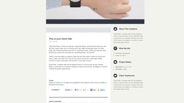 Submarine - Responsive Portfolio WordPress Theme + Download смотреть онлайн