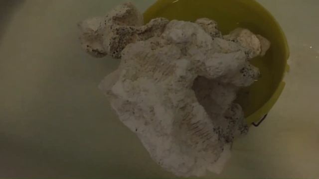 Чистка декораций аквариума белизной смотреть онлайн