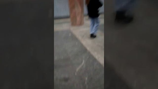 Обзор Станции Метро Калужская КРЛ